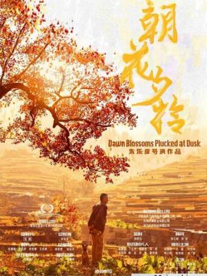 短剧烟火人间封面